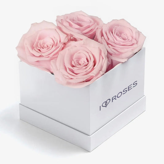 4 ROSE BOX