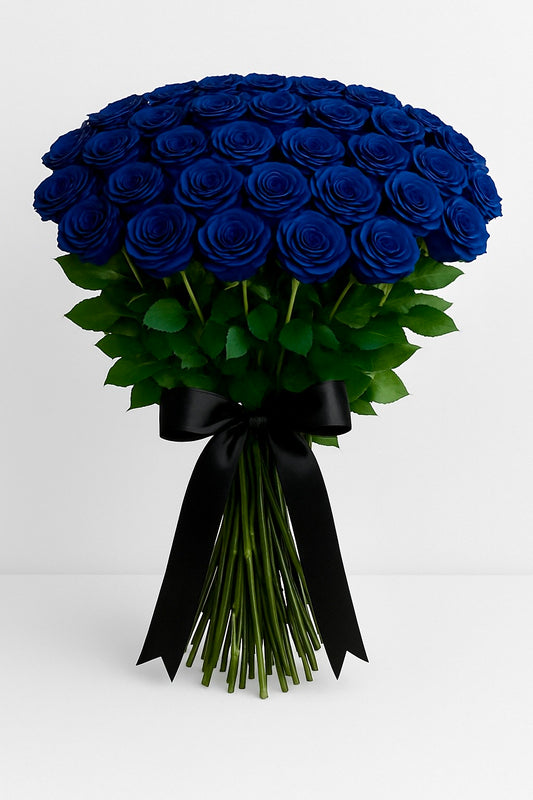 MIDNIGHT LUXURY COLLECTION