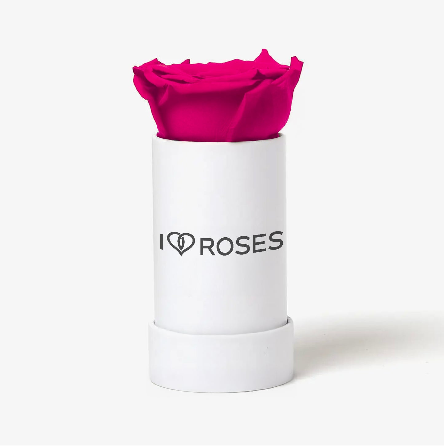 THE SINGLE ROSE
