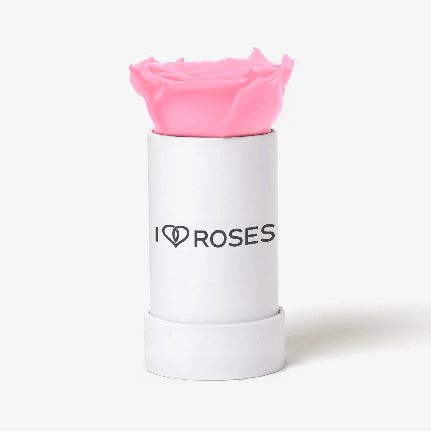 THE SINGLE ROSE