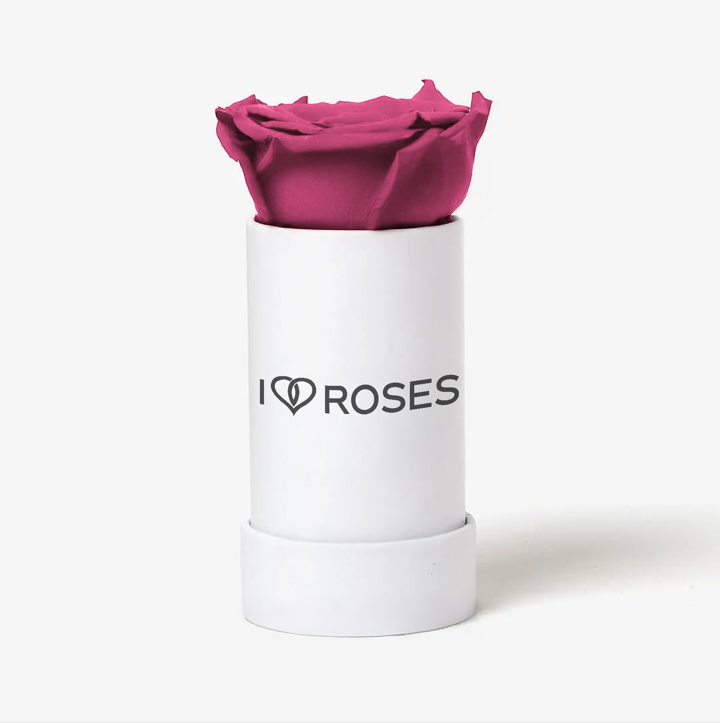 THE SINGLE ROSE