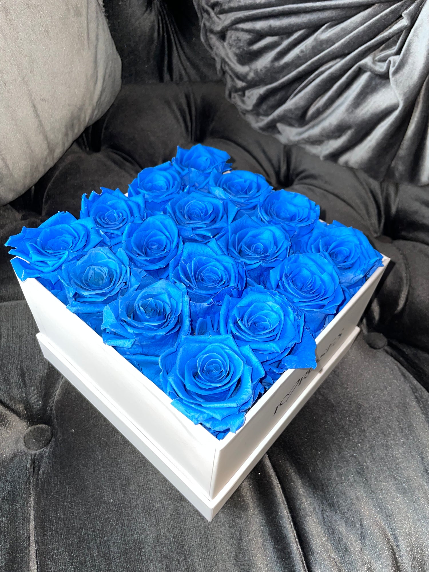 Blue Roses Tumblr